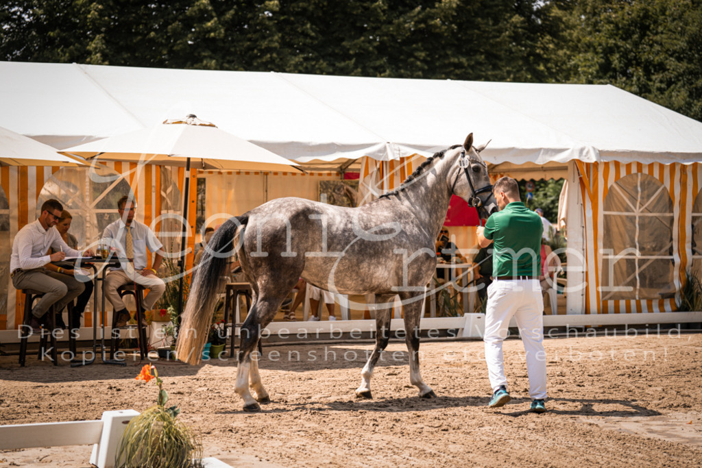 1.Fr00080 | Leoni Ertmer Photography - Realisiert mit Pictrs.com