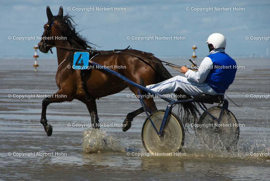 _DUN0089 | 38. Duhner Pferdewattrennen am 15. Juli 2012 - Realisiert mit Pictrs.com