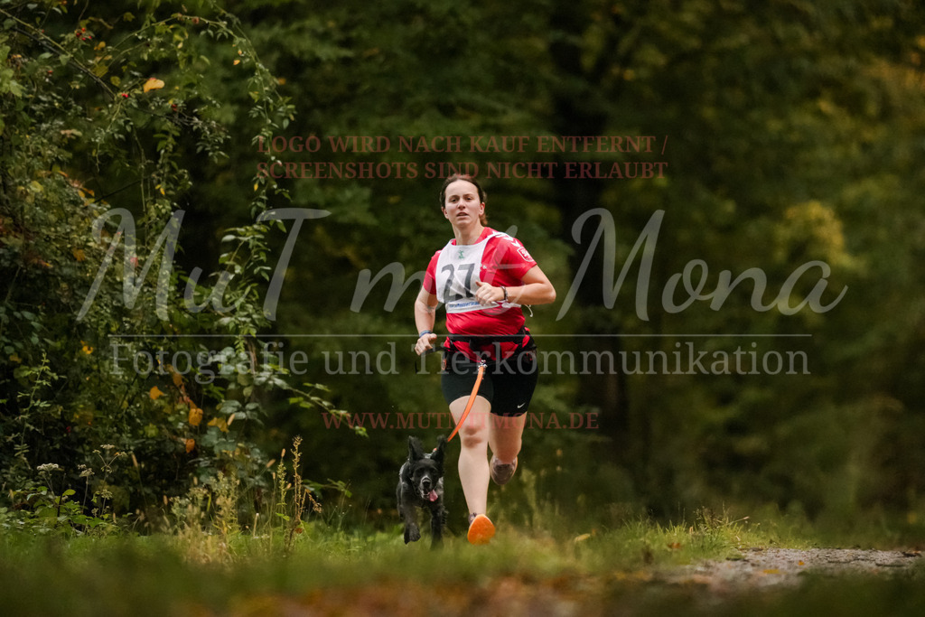 20251005_THS_Turnier-4 | MuT (Mensch und Tier) mit Mona - Fotografie und Tierkommunikation - Realisiert mit Pictrs.com