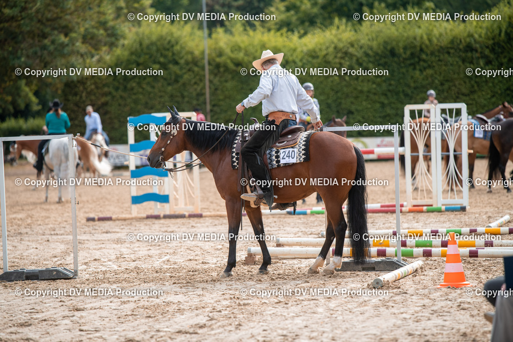 ZS3_9187 | dv-media-shop - Realisiert mit Pictrs.com