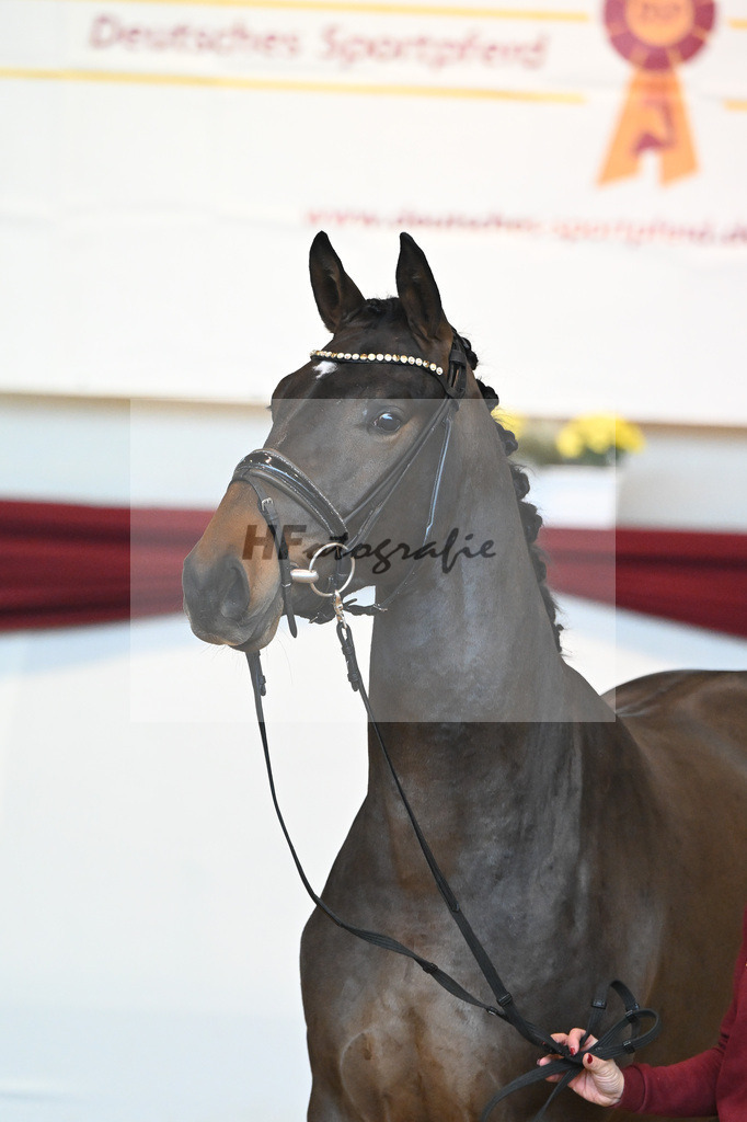 Kat-Nr. 43 v. Mykonos_Sommer_66220945 | hf-fotografie - Realisiert mit Pictrs.com