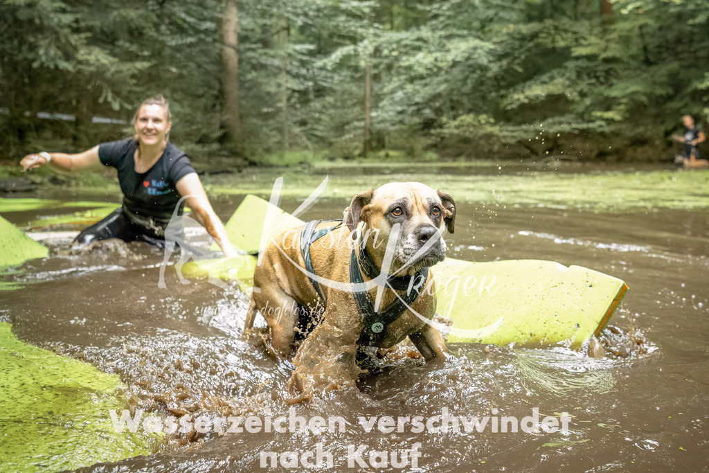 1430_ZZ92641-Bearbeitet | kk-dogfotos