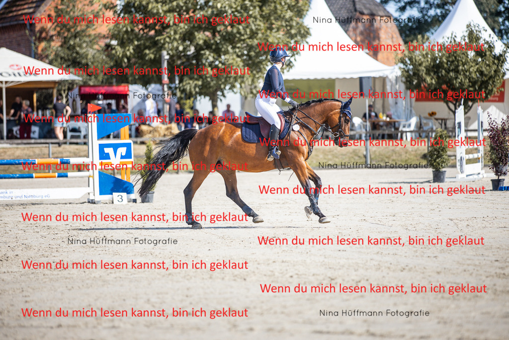 BK1A6997 | Turnierbilder Turnierfotos Nina Hüffmann Turnierfotografie Pferdefotografie Tierzeichnung Haustierzeichnung Pferdezeichnung Hundezeichnung Videograf  - Realisiert mit Pictrs.com