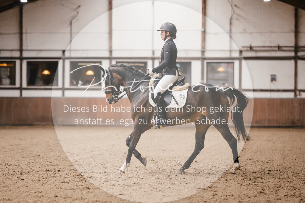 3I6A9038 | Stimmungsvolle Portraits und Reitsportfotografie im Ruhrgebiet und im Münsterland.

Pferdefotografie, Hundefotografie, Tierfotografie, Reportagen, Portraits von Tier und Mensch, Turnierfotografie in Bochum, Recklinghausen, Marl, Haltern am See, Dülmen.. - Realisiert mit Pictrs.com