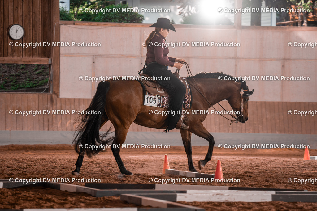 NE300132 | dv-media-shop - Realisiert mit Pictrs.com