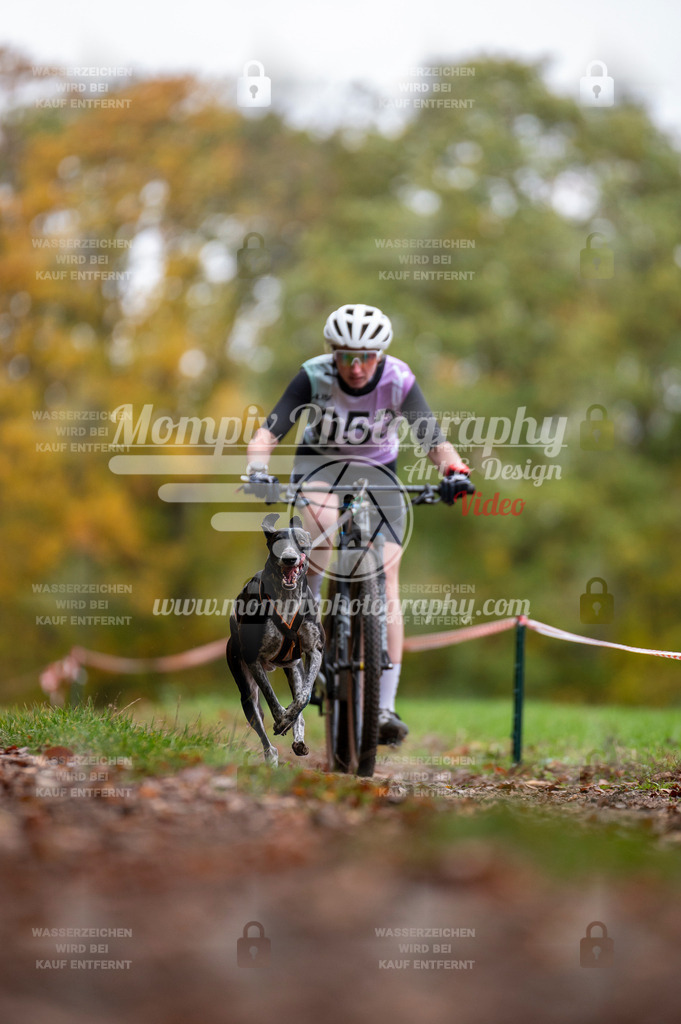 DBT_DAKM_SA_4_11_2023_Bike-23 | PayLife
