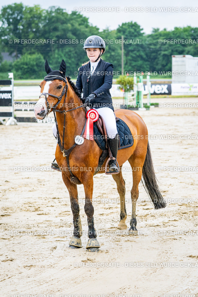 DSC03330 | Pferdegrafie