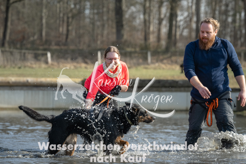 1307_ZZ94851 | kk-dogfotos