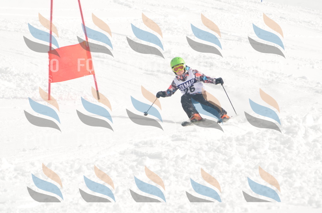 A5213 | holidayphoto