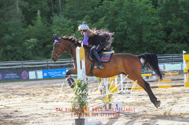 DKP45200 | Turnierfotos kaufen im Webshop von Daniel Kuhl Photography – entdecke professionelle Reitsportfotos aus Turnieren & Events. Hochwertige Turnierbilder online bestellen & sichern. Jetzt Fotos von Reitsportturnieren kaufen!