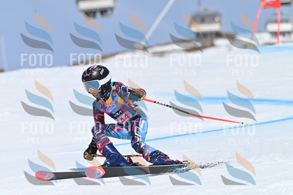 BGV_0224 | holidayphoto