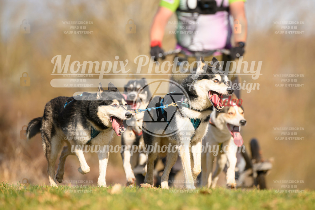 MompixPhotography_10Schwabentrail2026_SO_Kart-13 | PayLife