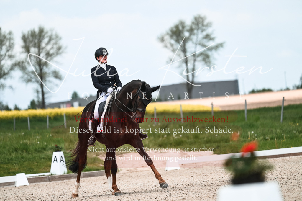 20230514_JK-Röhrsdorf-21-146 | Pferde- und Turnierfotografie in Westsachsen. Pferdeportraits, Auftragszeichnungen und intuitive Kunst.