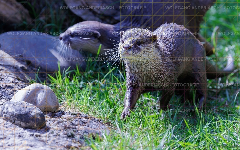 2026414-120612Zoo_Frankfurt100L0687_finish | Im Zoo Frankfurt zeigt sich genau das: kleine Momente, echte Begegnungen, ungefilterte Emotion. - Realisiert mit Pictrs.com