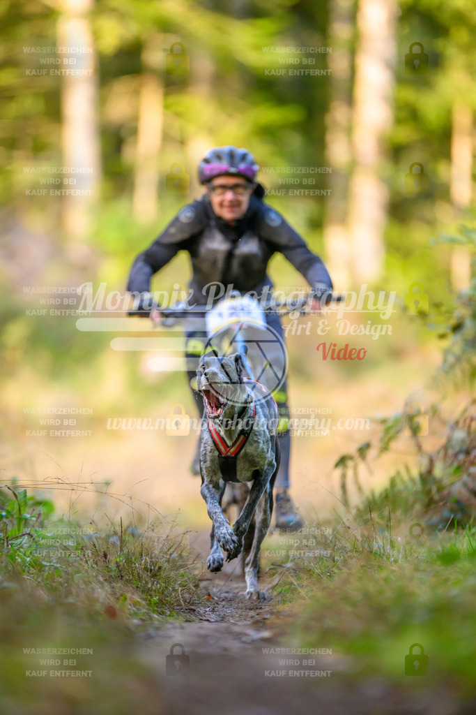 MompixPhotography_Yens2025_B3-54 | PayLife