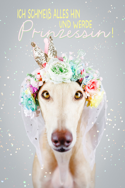 Ori wird Prinzessin | "Ich schmeiß hin und werde Prinzessin!"