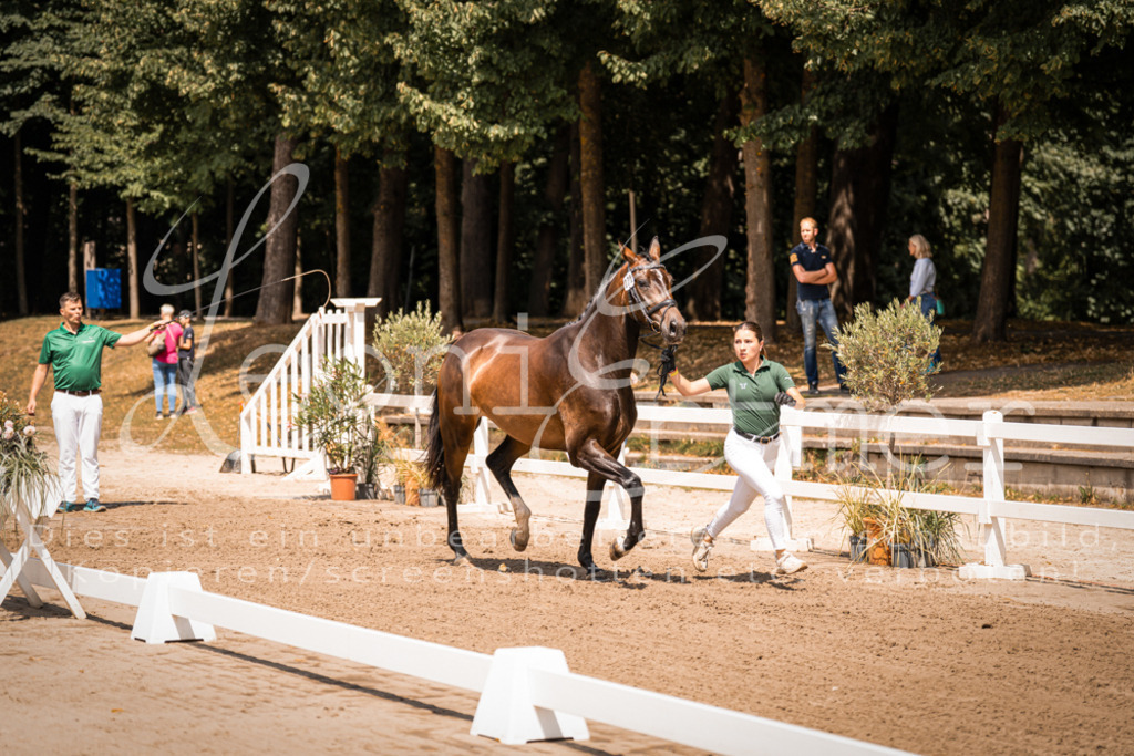 1.Fr00097 | Leoni Ertmer Photography - Realisiert mit Pictrs.com