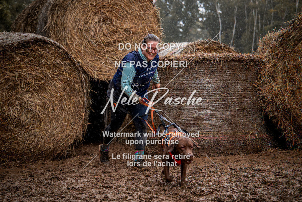 nelerasche_Hunsrück_So09-11_135 | nelerasche