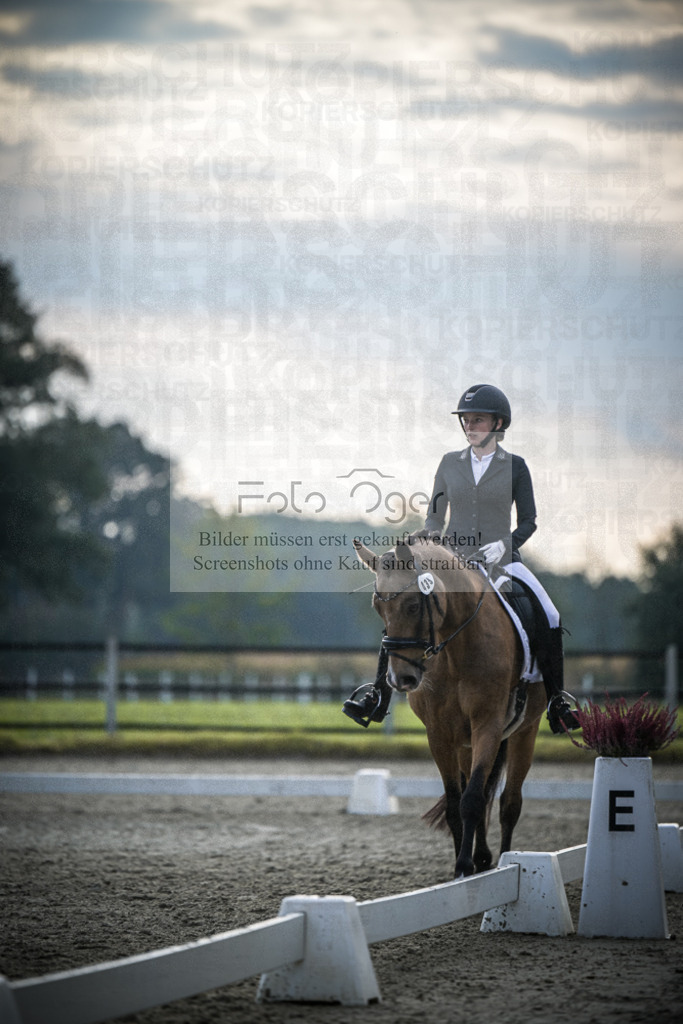 DOS_4387 | Entdecke hochwertige Reitturnierfotos von Foto Oger. Professionell, emotional und authentisch – jetzt Lieblingsmomente im Shop bestellen.Deutschlandweite Turnierfotografie. - Realisiert mit Pictrs.com