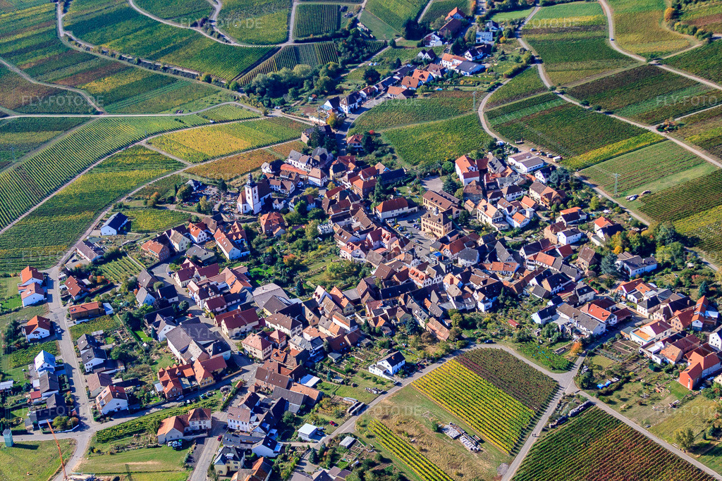 Luftbild: Winzerdorf am Haardtrand aus Norden in Weyher in der Pfalz im Bundesland Rheinland-Pfalz in Deutschland. Foto: IMG_22187.jpg vom 15.10.2009 durch Werner Riehm/FLY-FOTO.de