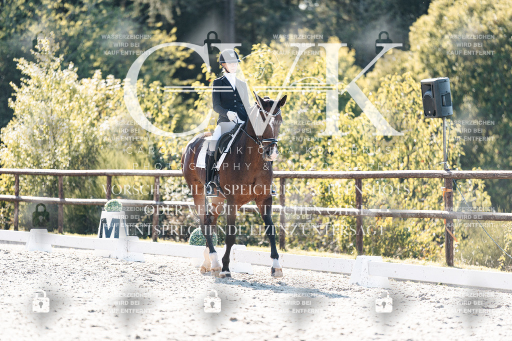 CK906418 | Turnierfotografie Pferdefotografie Trier Rheinland-Pfalz Pferdesport Reitsport Tierfotografie Sportfotografie Pferdevideo Pferdevideografie Equestrianvideography equestrianphotography  - Realisiert mit Pictrs.com