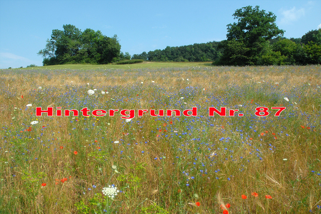 Hintergrund 3X2 087 | Foto, Video, Fotografie, Videografie, Fotobox, DJ, Discjockey, Musik, Musikbox, Veranstaltung, Photobooth, Amazon, Ebay, Buchtipp, Bestseller, Autor, Verlag, Buch, Wesel, Hamminkeln, NRW, Dinslaken, Rees, Drohne, Hochzeit, Party, Fotobox, Wesel, Fotograf