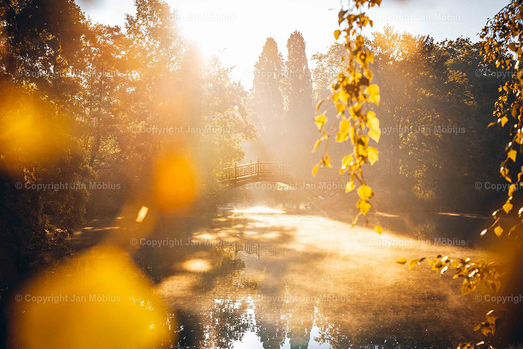 Johanna-Park | Der Johanna-Park in Leipzig verbindet Ruhe, Natur und Citynähe – ideal für Spaziergänge, Entspannung und Ausblicke auf die Stadtkulisse. - Realisiert mit Pictrs.com