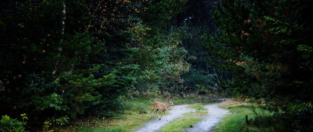 IMG_4450 | only.this.little.world - Realisiert mit Pictrs.com