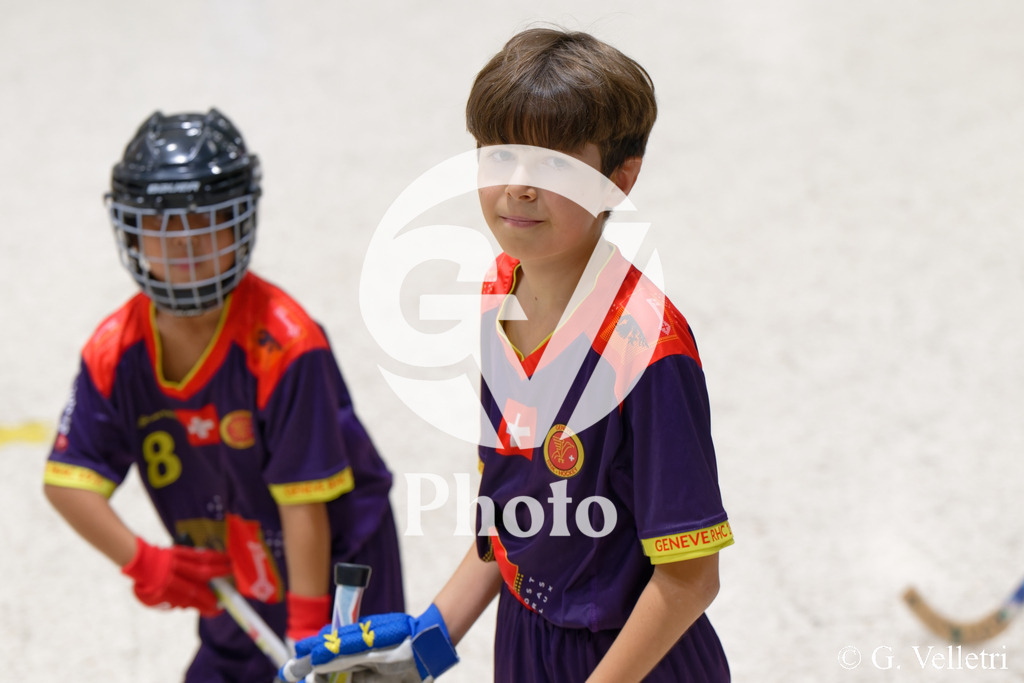 DSC_2375 | Velletri Photo