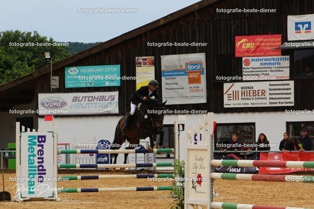 OHT0191 | Fotografie, Tiere, Hunde, Katzen, Pferde, Sportfotografie, Fotosession, Tierfotografie, Turnierfotografie, Fotografin, Fotograf - Realisiert mit Pictrs.com