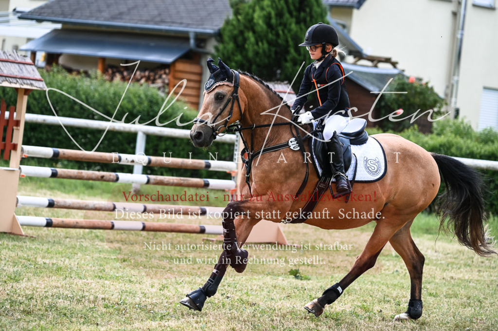 DSC_9704 | Pferde- und Turnierfotografie in Westsachsen. Pferdeportraits, Auftragszeichnungen und intuitive Kunst.