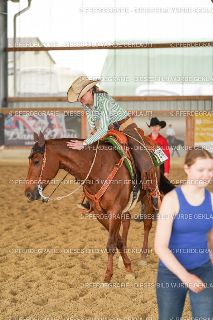 DSC05126 | Pferdegrafie