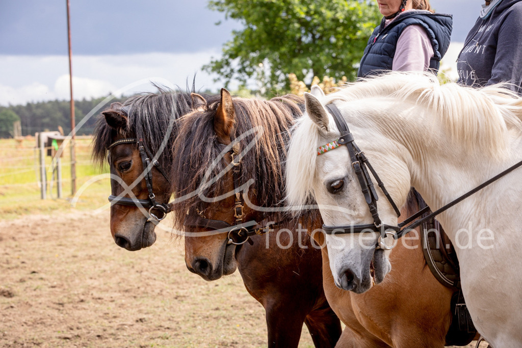846A0941 | fotosleben - Realisiert mit Pictrs.com