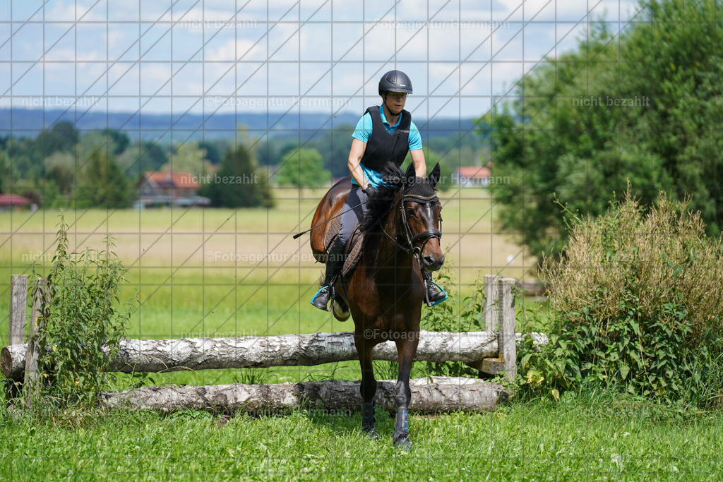 20240622-FAH07626 | Turnierfotografen Bayern, Reitsportbilder aus dem Geländekurs mit Felix Etzel auf dem Gut Waitzacker 2024