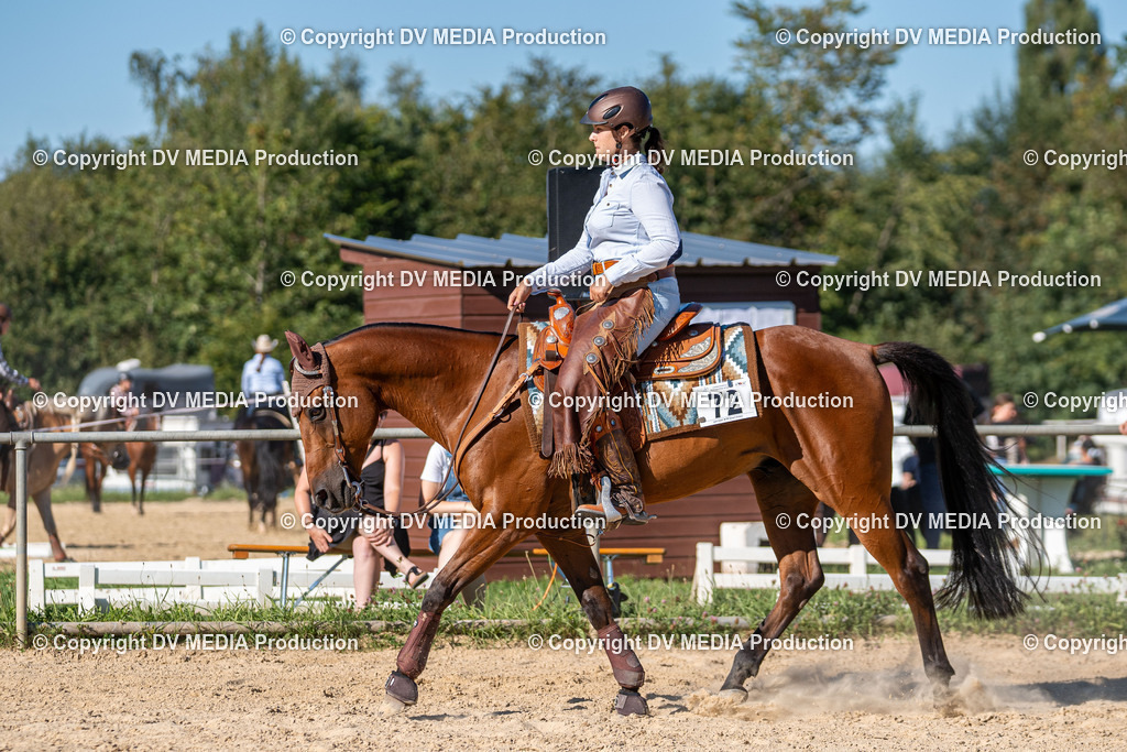 LM Heiligenwald Tag 1-1940 | dv-media-shop - Realisiert mit Pictrs.com