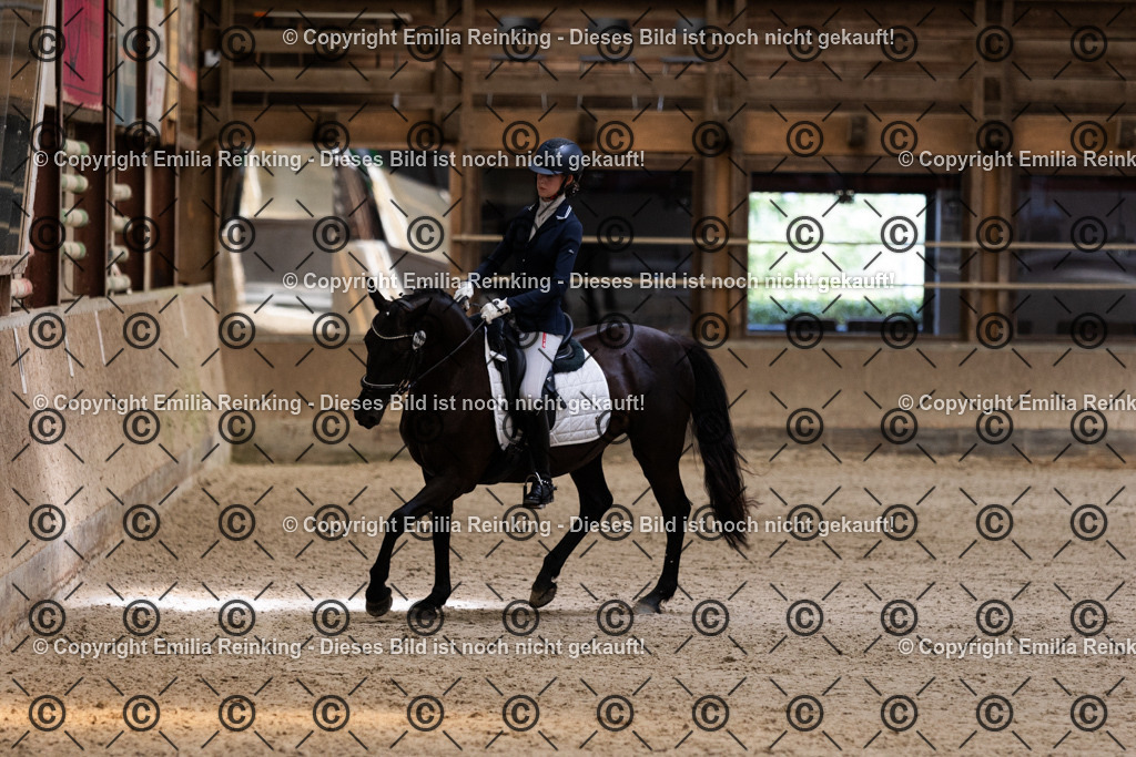 CL5A3963 | Emilia Reinking Fotografie - Realisiert mit Pictrs.com