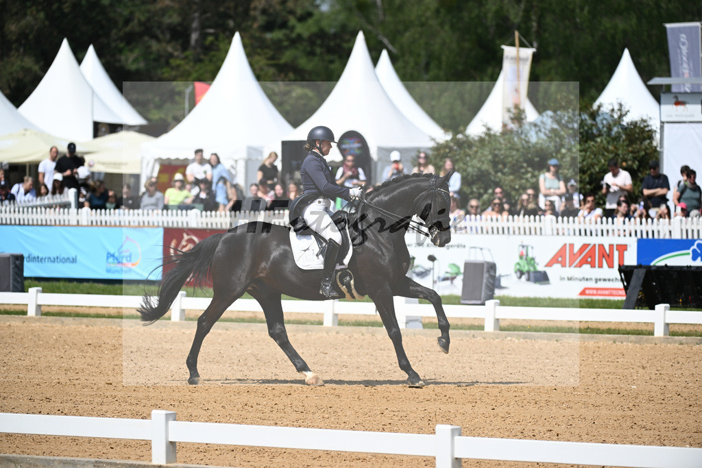 Merk_Sambuco_12243639 | hf-fotografie - Realisiert mit Pictrs.com