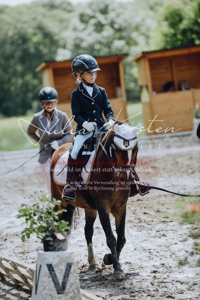 DSC_2295 | Pferde- und Turnierfotografie in Westsachsen. Pferdeportraits, Auftragszeichnungen und intuitive Kunst.