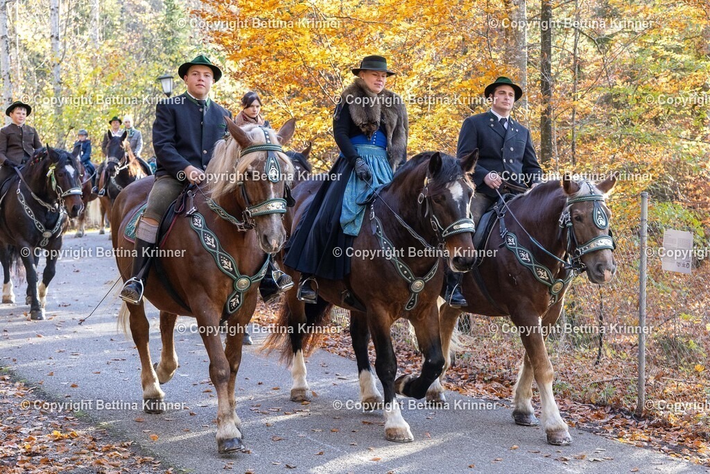 LL24-334 | foto-bettina-krinner - Realisiert mit Pictrs.com