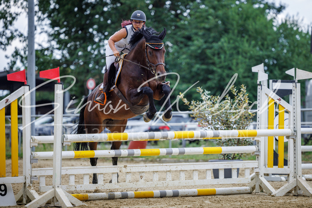 20260705-_3LI5089 | Tierfotografie Pferde, Hunde, Katzen, Haustiere.
Turnierfotografie Reitturniere, Reiten, Springreiten, Dressur in Hanau, dem Main-Kinzig-Kreis und dem Rhein-Main- Gebiet um Frankfurt