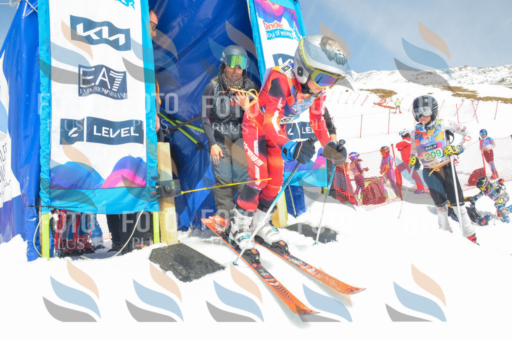 _ELE6884 | holidayphoto