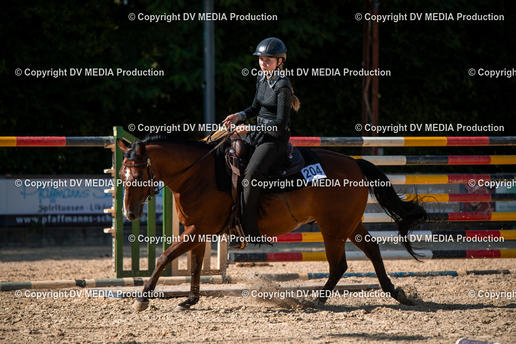 EWP_6966 | dv-media-shop - Realisiert mit Pictrs.com