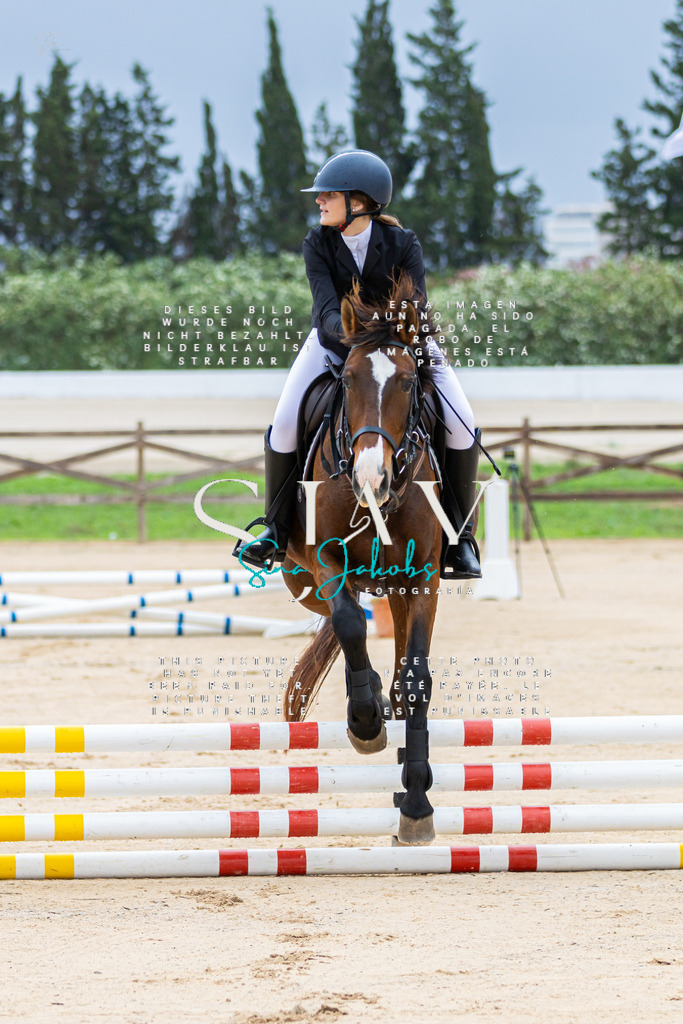 IMG_1312 | s-jay-photography - Realisiert mit Pictrs.com