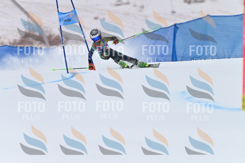 BGV_2073 | holidayphoto