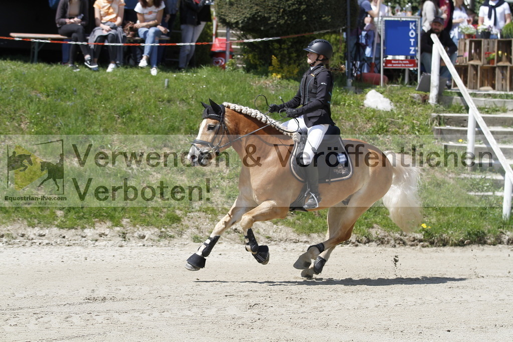 _MG_0136 | equestrian-live-com