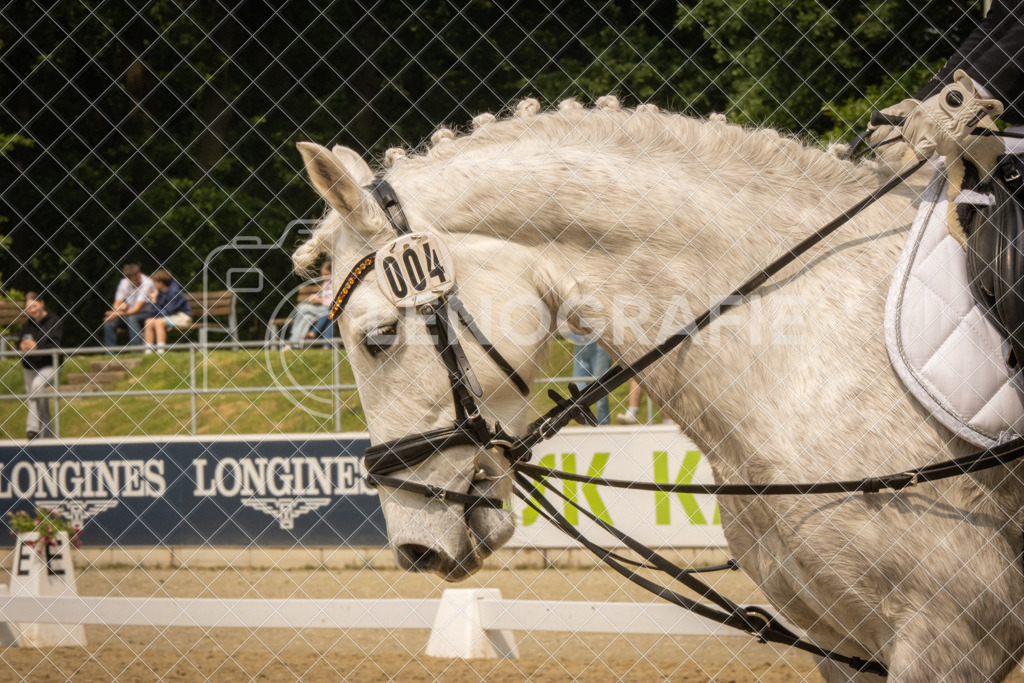 IMG_7015 | lenografie - Realisiert mit Pictrs.com