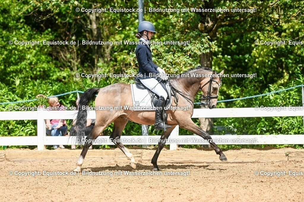 20230716_01_Dressurprüfung Kl.M_0231 | equistock