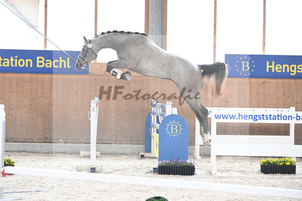 Kat-Nr. 9 nn v. Vingino_Schindele_5250245 | hf-fotografie - Realisiert mit Pictrs.com