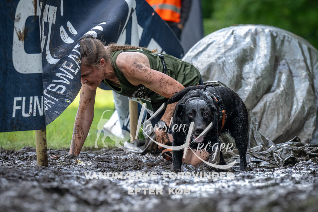 1138_ZZ93747 | kk-dogfotos