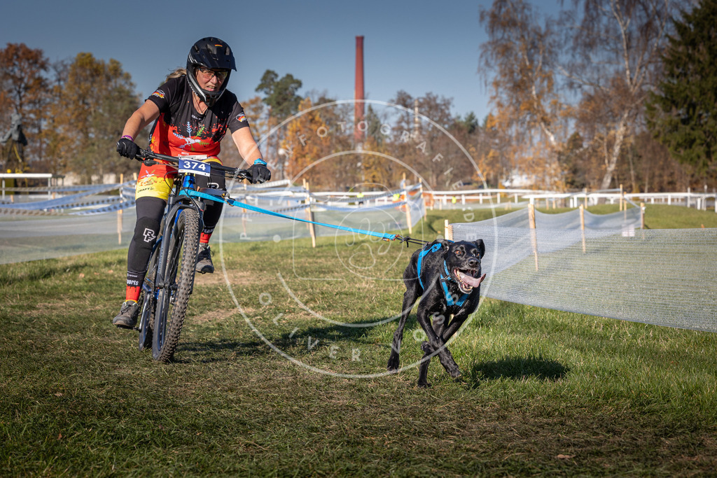 CaniXpix_0L8A6520 | Hundefotografie, Tierfotograf, Pfotenfotografie, Fotoshooting Hund, Hunde Portrait, Hundesport, Hundeportraits, Heideshooting, Hunde, Sportfotograf, Hundefotograf, Turnierhundsport, THS,  - Realisiert mit Pictrs.com